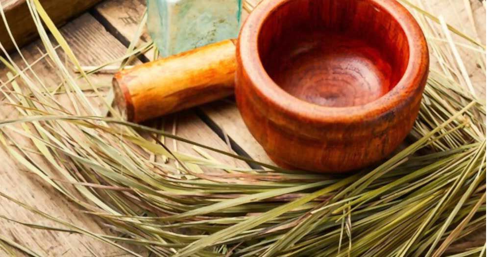 The Spiritual Meaning and Uses of Sweetgrass