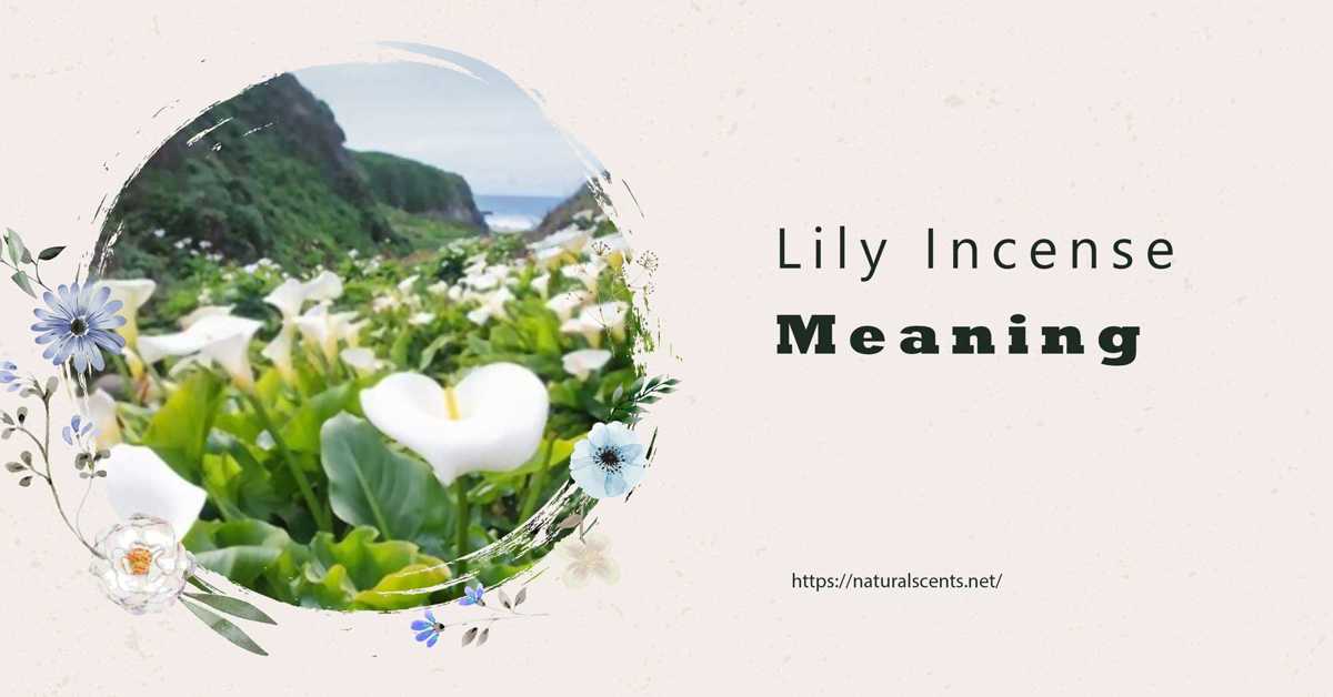 7 Benefit of lily incense