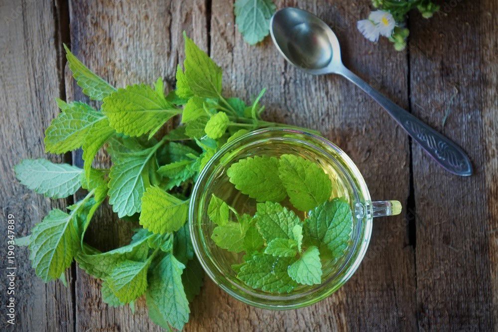 Drink a cup of lemon balm tea before going to bed to have good dreams.