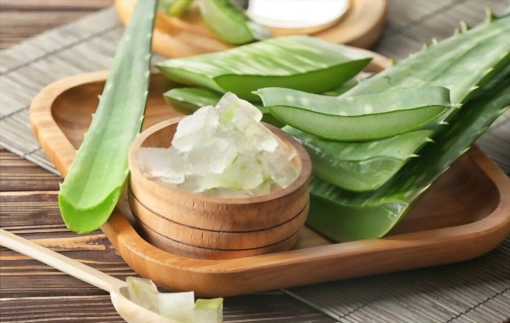 Aloe vera has come to symbolize natural healing and relief from pain.