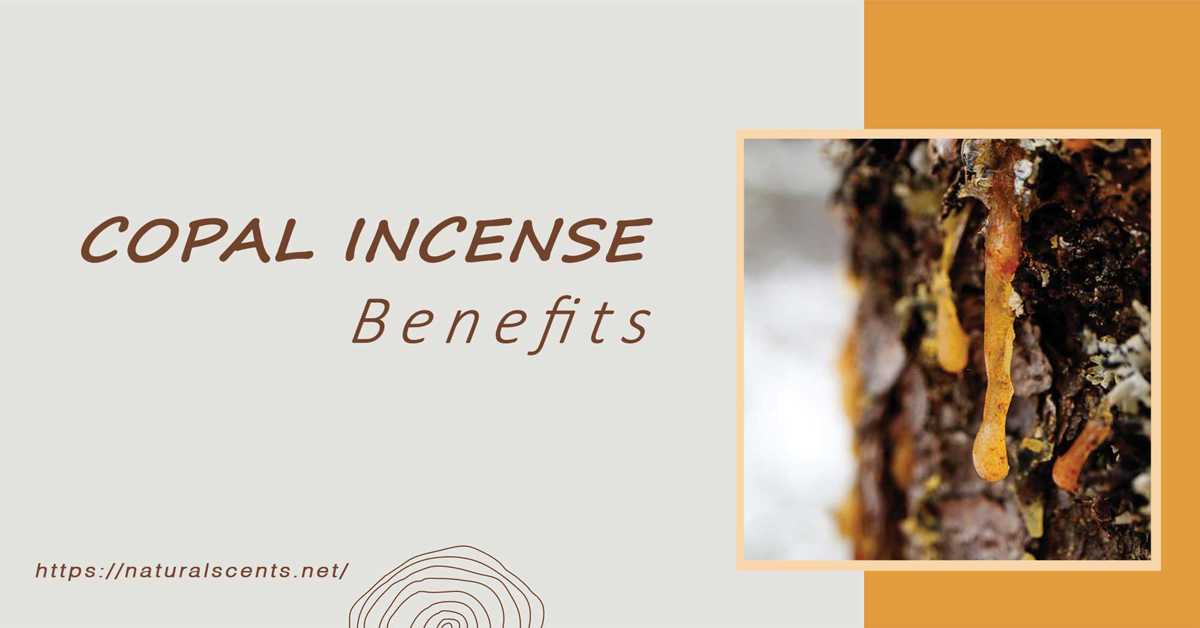 5 Benefits of Copal Incense