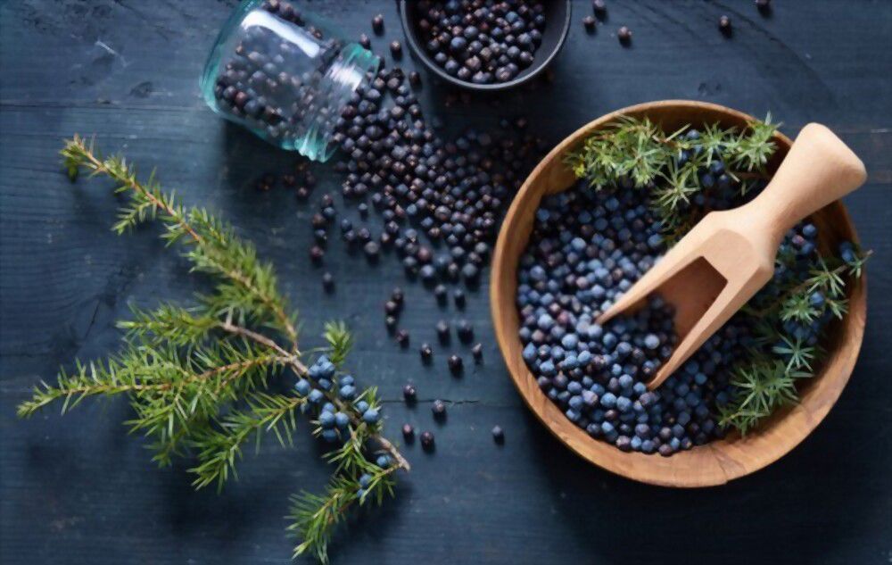 the power of Juniper Unlock spiritual enlightenment and healing with the power of Juniper
