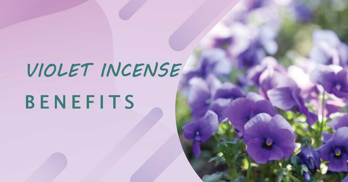 5 Benefits and Meaning of Violet Incense