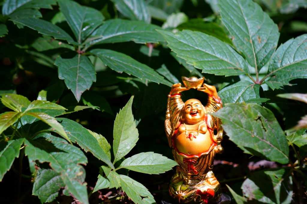 Patchouli incense helps increase money Patchouli incense helps increase money and prosperity