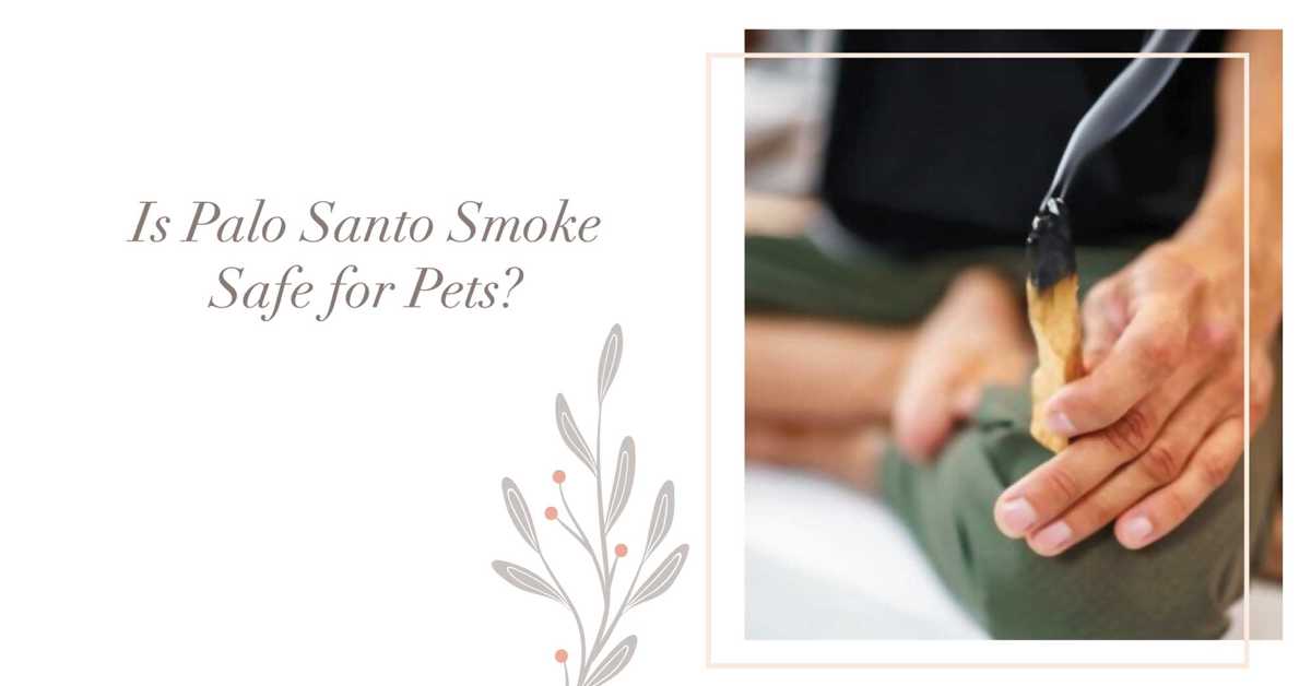 Is Palo Santo Smoke Safe for Pets?
