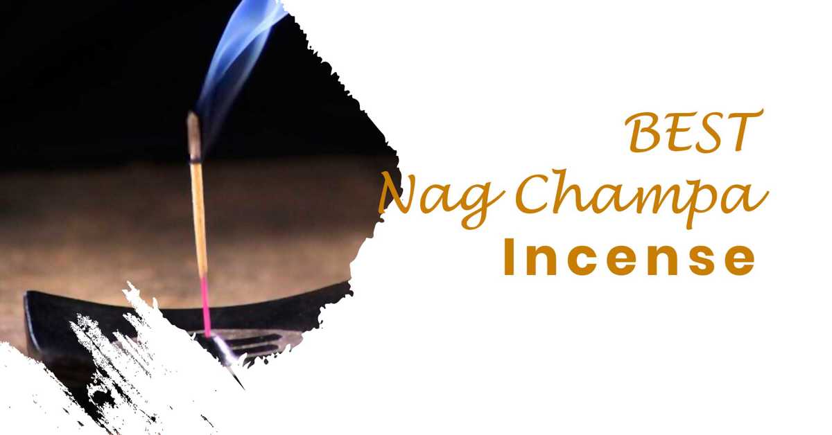 Top 11 The Best Nag Champa Incense