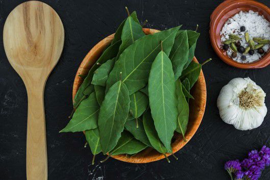 bay leaves to attract fortune Stuff your shoes with 1-2 bay leaves to attract fortune.