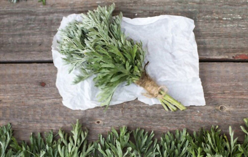 Bring clarity to your thoughts with the help of mugwort, a powerful aid for enhancing your psychic abilities.