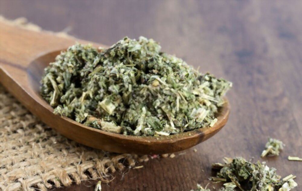 Mugwort is a natural healer with tremendous wound-closing and bone-repairing power!