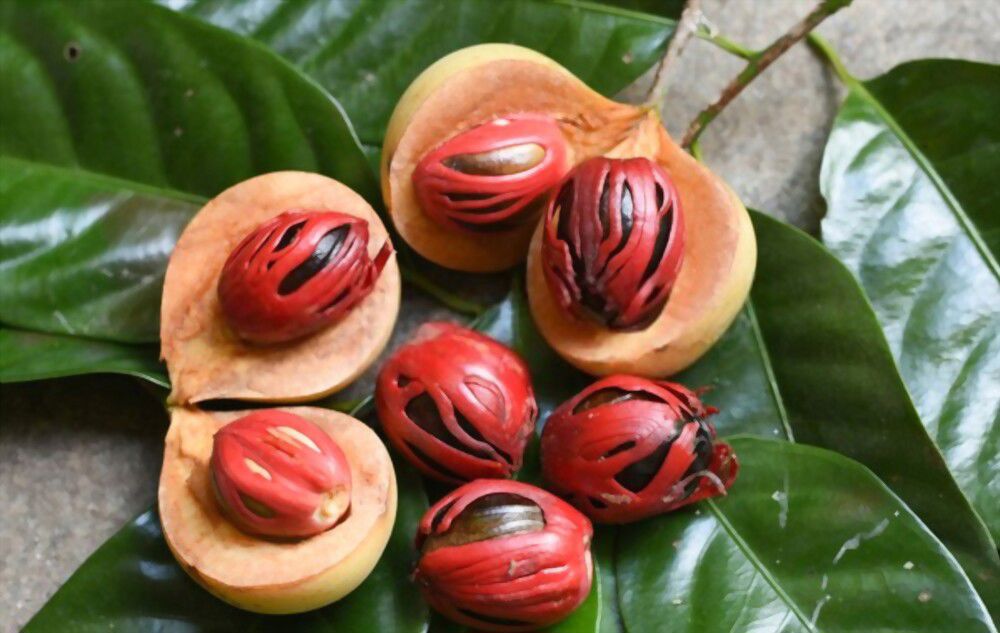 5 Surprising Spiritual Benefits of Nutmeg What You Need to Know