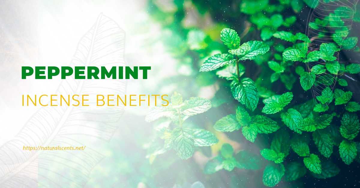5 Benefits of Peppermint Incense