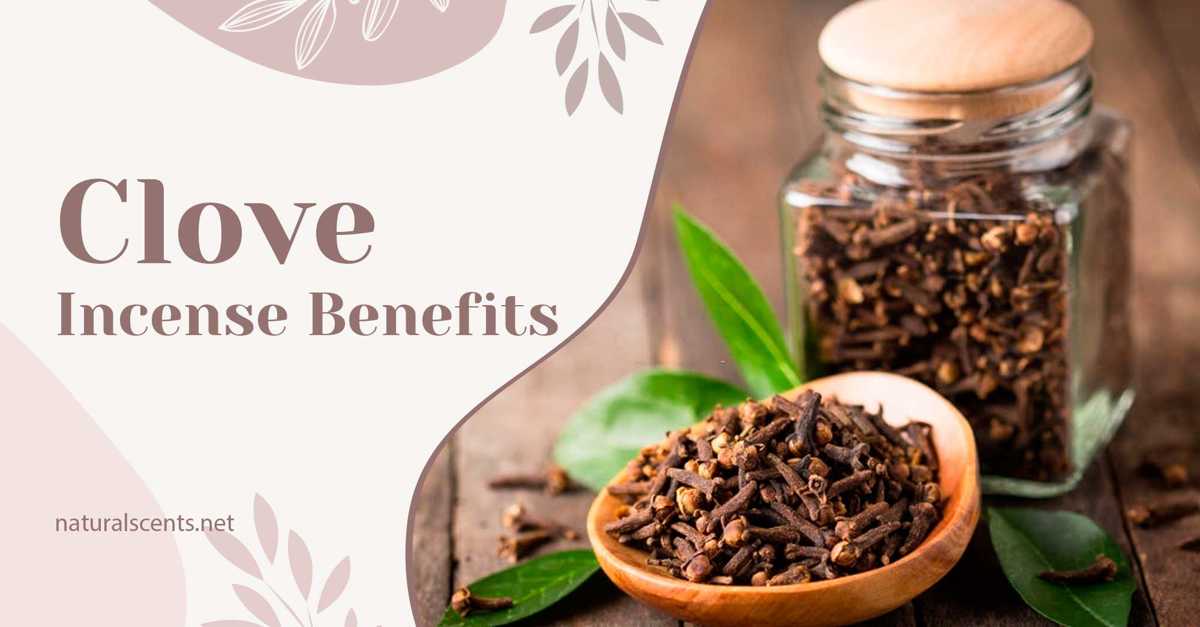 5 Benefits of Clove Incense