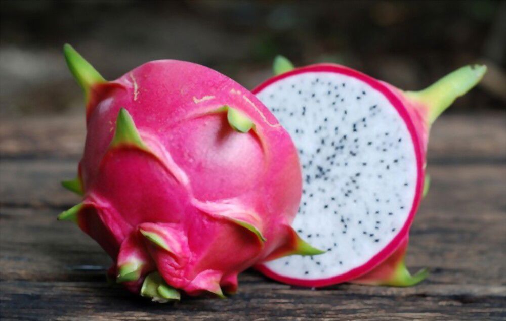 new beginnings with the dragon fruit Embrace transformation and new beginnings with the power of dragon fruit!