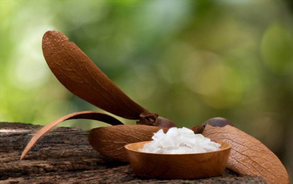the power of Camphor Harness the power of Camphor to develop your psychic abilities!