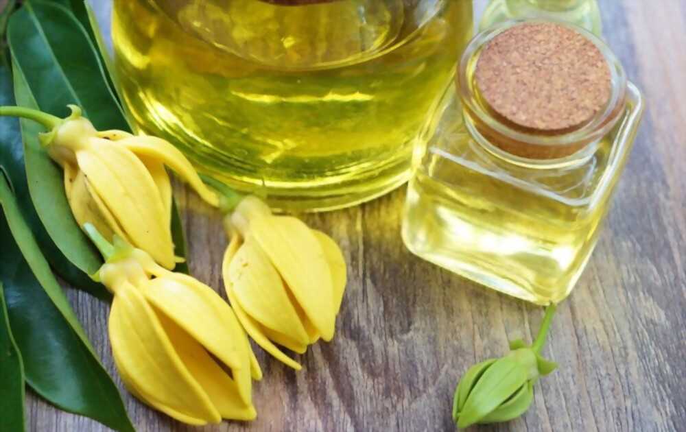 Ylang ylang incense Ylang-ylang incense is preferred by spa centers for its calming effects on the mind.