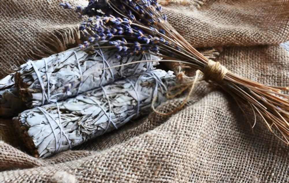 White sage is frequently used to cleanse people and crystals.